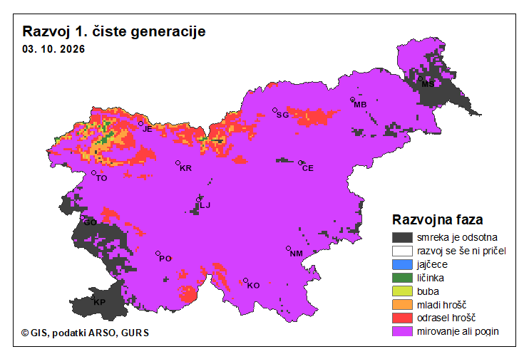 slika